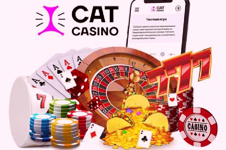 Cat Casino